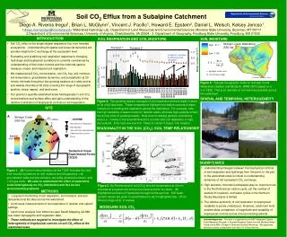 Soil CO 2 Efflux from a Subalpine Catchment