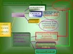 Derechos fundamentales en la práctica - slide 1