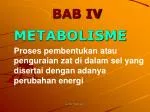 METABOLISME - slide 1