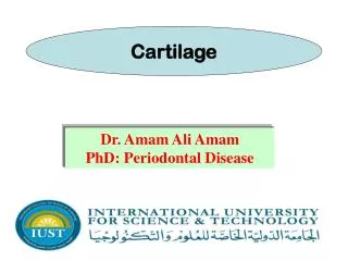 Dr. Amam Ali Amam PhD: Periodontal Disease