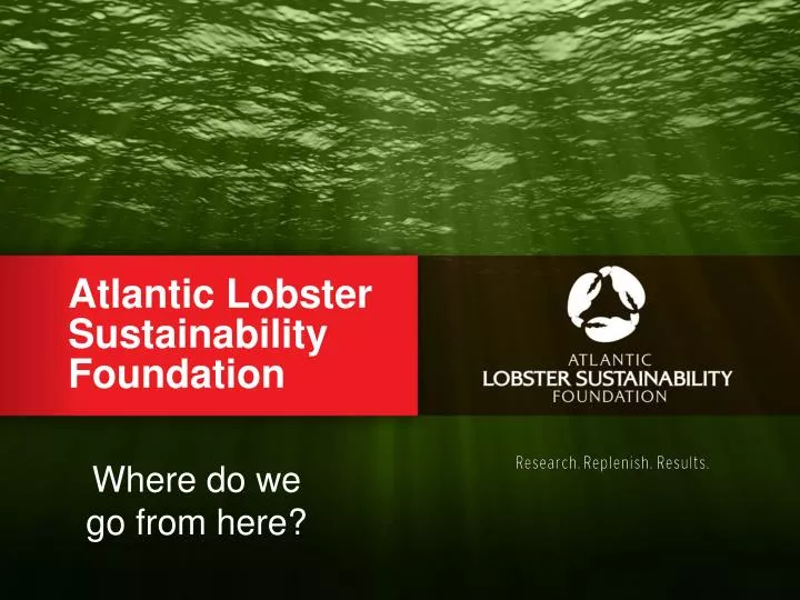 atlantic lobster sustainability foundation