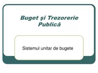 buget i trezorerie public