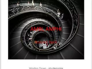 ambi amphi