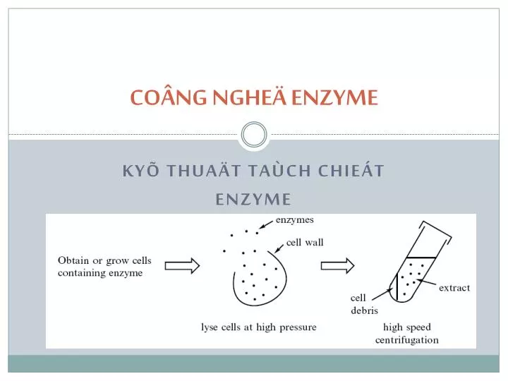 co ng nghe enzyme