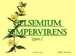 gelsemium sempervirens gels