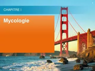 mycologie