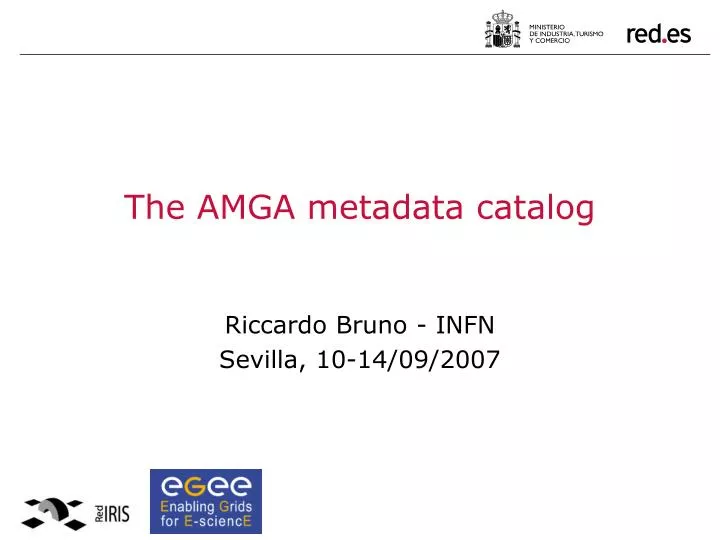 the amga metadata catalog