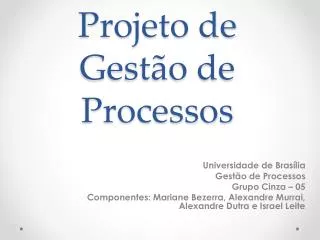 projeto de gest o de processos