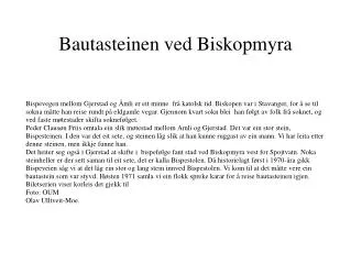 bautasteinen ved biskopmyra