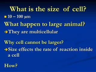 What is the size of cell?