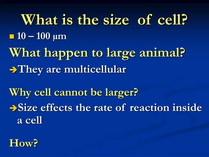 what is the size of cell