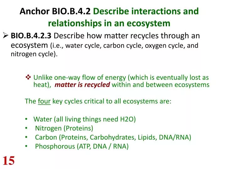 anchor bio b 4 2 describe interactions and relationships in an ecosystem