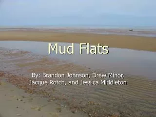 Mud Flats