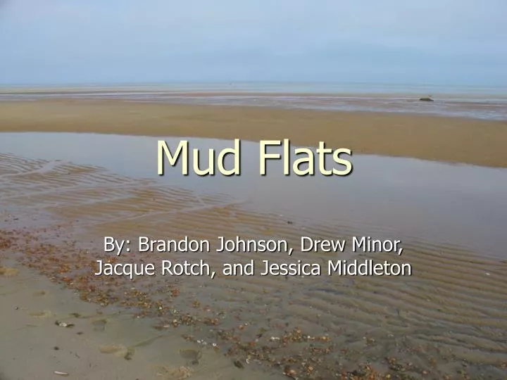 mud flats