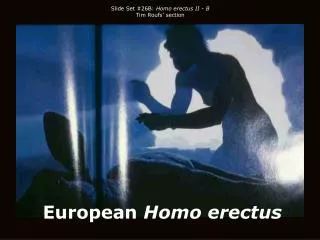 European Homo erectus