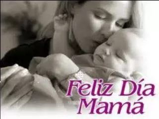 evidencia 24