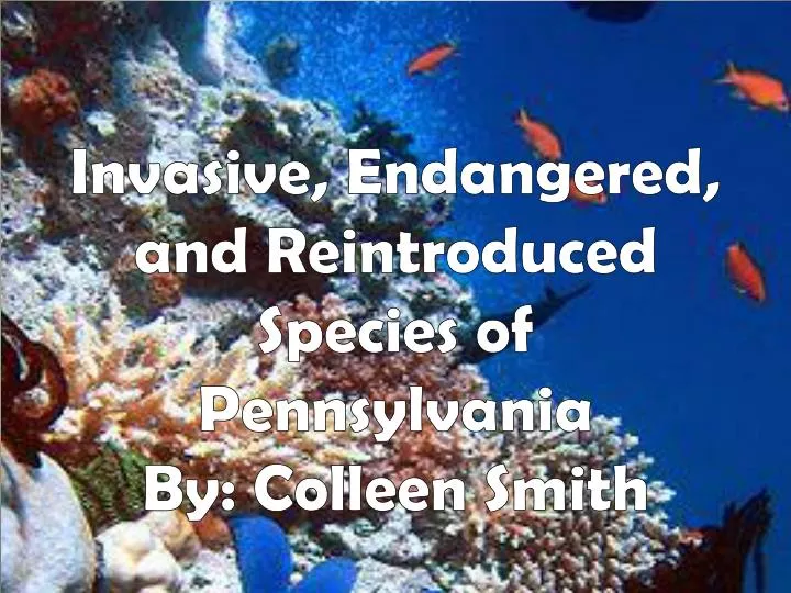 invasive endangered and reintroduced species of pennsylvania by colleen smith