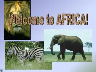 Welcome to AFRICA!