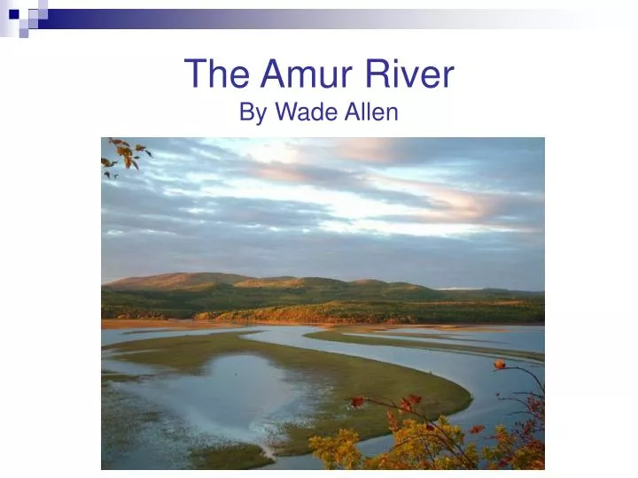 the amur river by wade allen