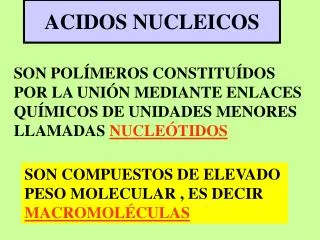 acidos nucleicos
