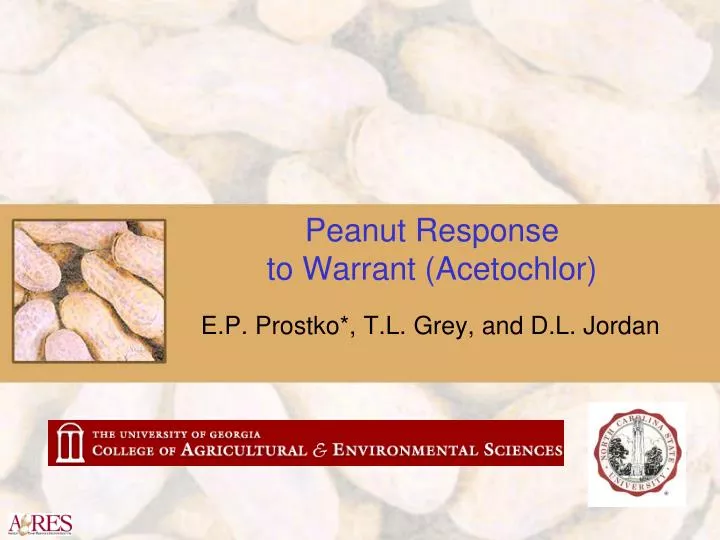 peanut response to warrant acetochlor