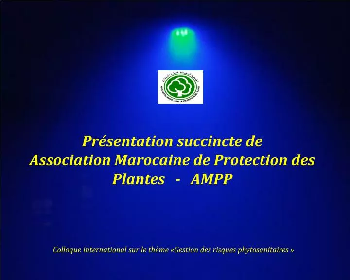 pr sentation succincte de association marocaine de protection des plantes ampp