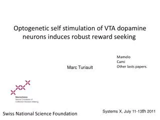 Optogenetic self stimulation of VTA dopamine neurons induces robust reward seeking