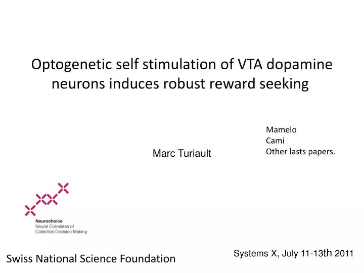 optogenetic self stimulation of vta dopamine neurons induces robust reward seeking