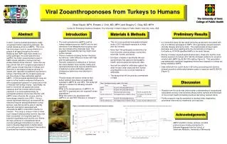 Viral Zooanthroponoses from Turkeys to Humans