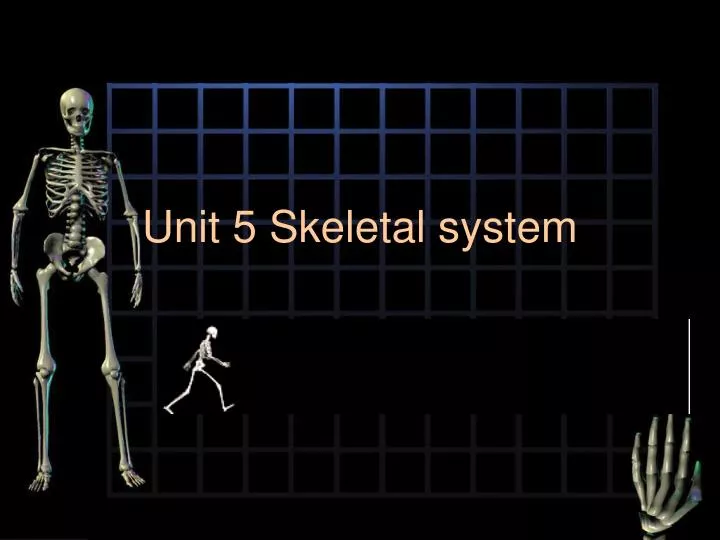 unit 5 skeletal system