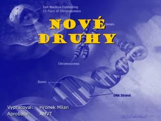 nov druhy