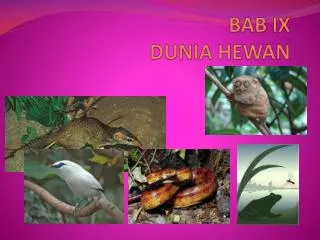 bab ix dunia hewan