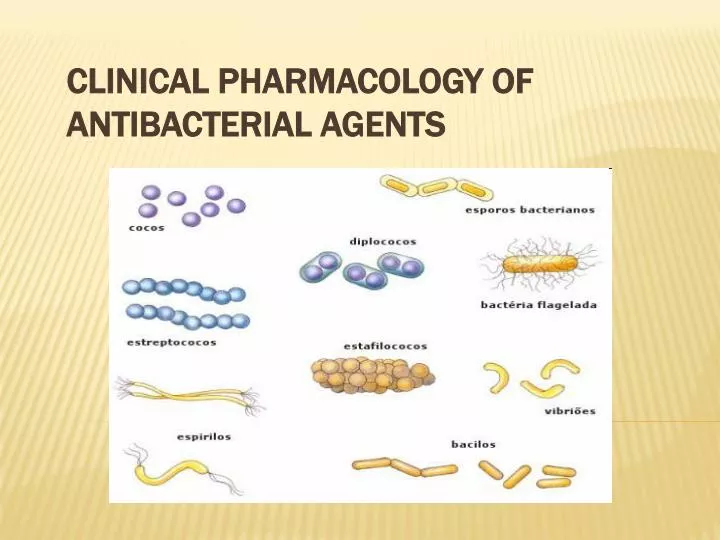 clinical pharmacology of antibacterial agents