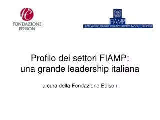 profilo dei settori fiamp una grande leadership italiana a cura della fondazione edison