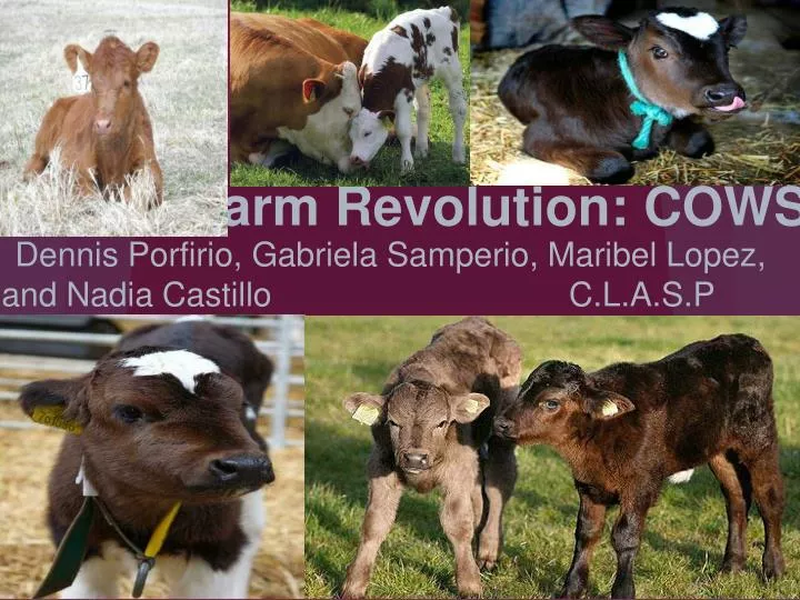 farm revolution cows