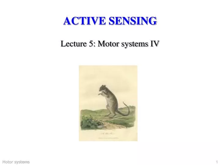 active sensing