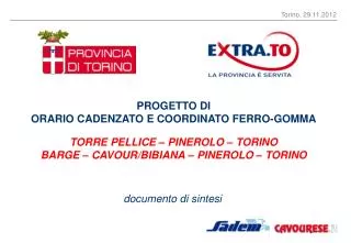 documento di sintesi