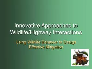 Innovative Approaches to Wildlife/Highway Interactions