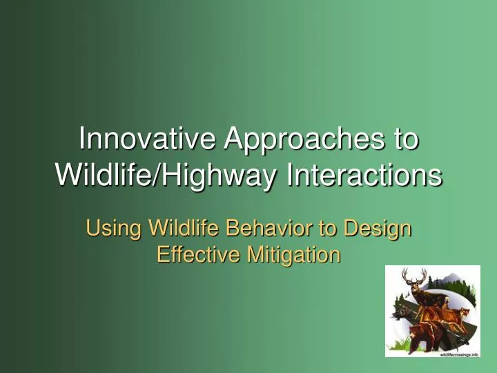 innovative approaches to wildlife highway interactions