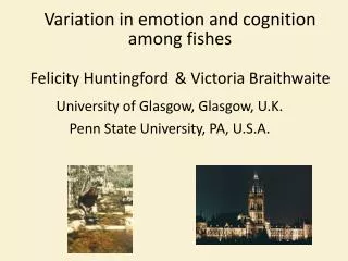Variation in emotion and cognition among fishes Felicity Huntingford &amp; Victoria Braithwaite
