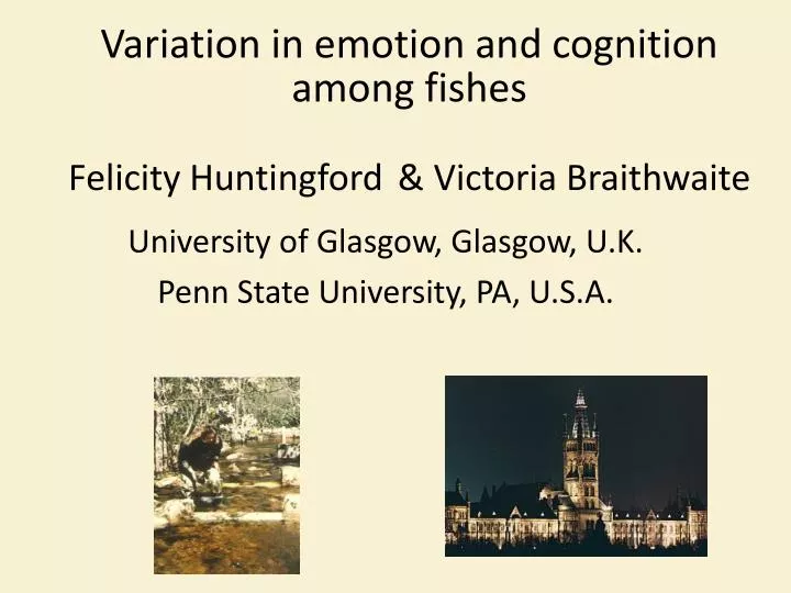 variation in emotion and cognition among fishes felicity huntingford victoria braithwaite