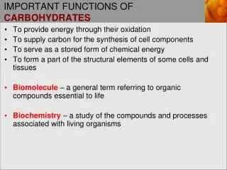 important functions of carbohydrates