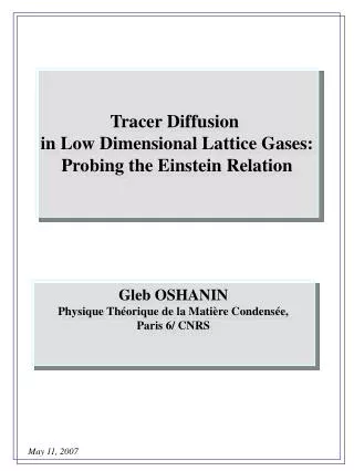 Tracer Diffusion in Low Dimensional Lattice Gases: Probing the Einstein Relation