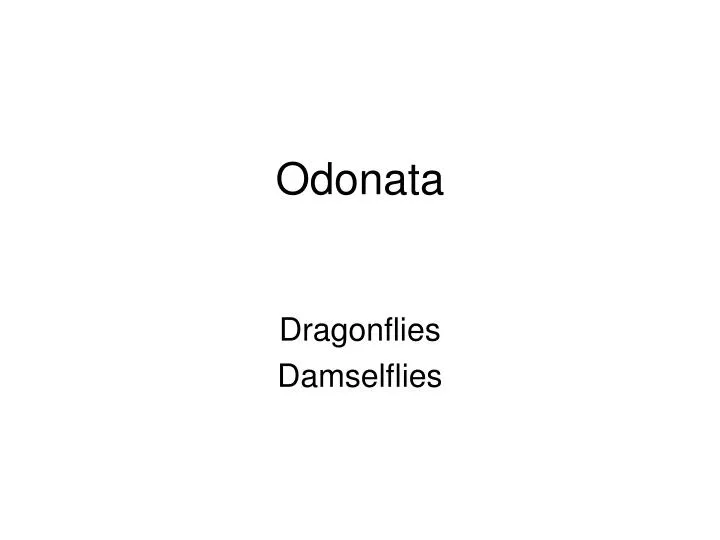 odonata