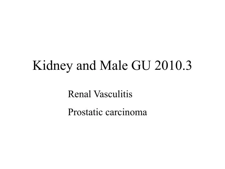 kidney and male gu 2010 3