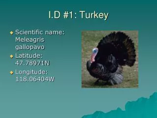 I.D #1: Turkey