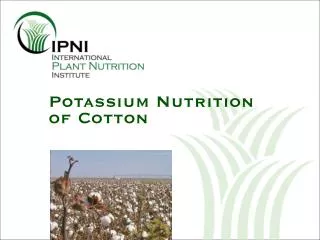 Potassium Nutrition of Cotton