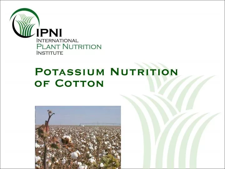 potassium nutrition of cotton