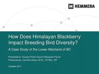 How Does Himalayan Blackberry Impact Breeding Bird Diversity?