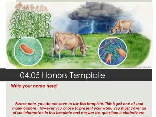 04.05 Honors Template